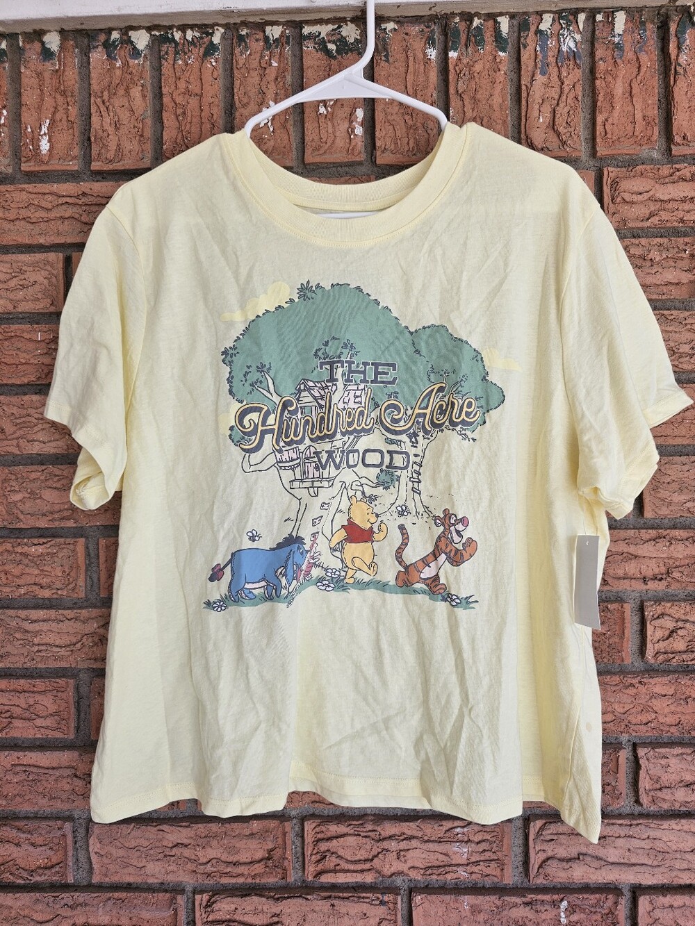 Disney Winnie the Pooh and Friends Womens Casual Graphic Tee Size XL(16-18)